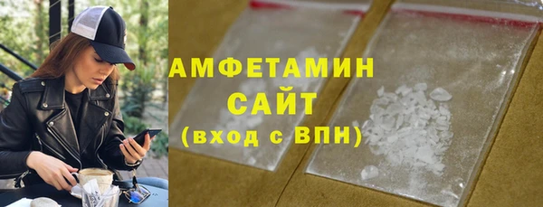 гидра Краснослободск