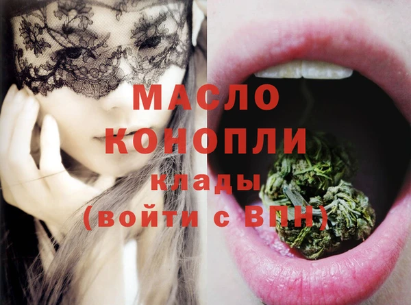 гидра Краснослободск