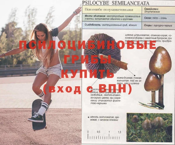 гидра Краснослободск