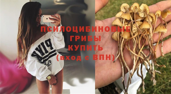 крисы Краснотурьинск