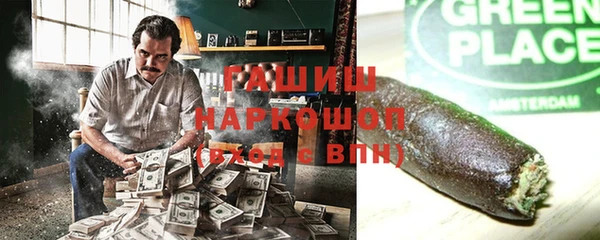 гидра Краснослободск
